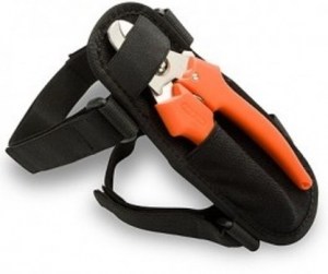 αρχείο λήψης1893